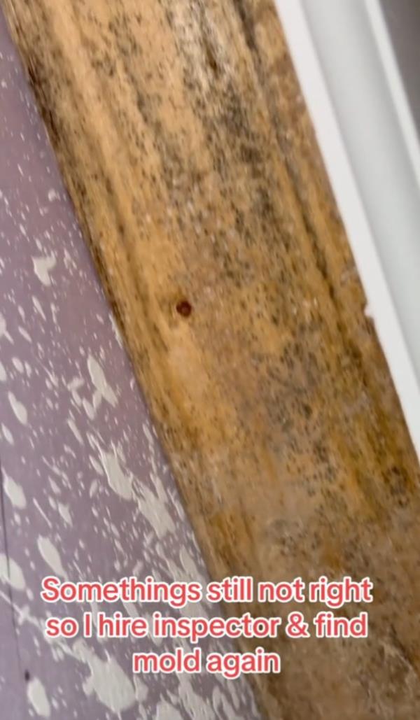 Mold seen in Necole's house.