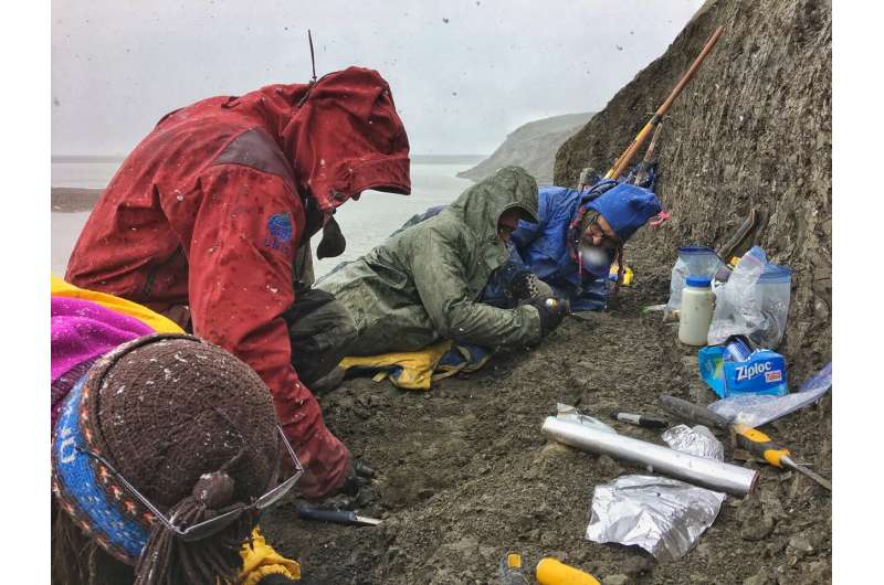Tiny “ice mouse” survived Arctic cold in the age of dinosaurs