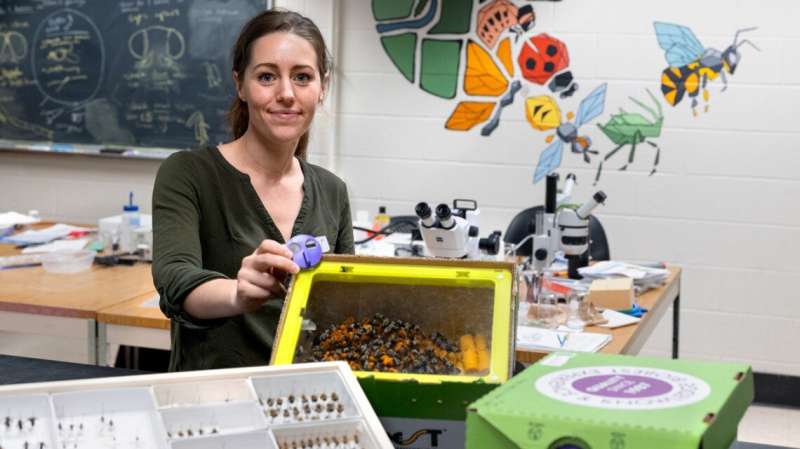 Bumblebee research sparks rapid industry change